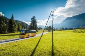 青青草国产线观,青青草的青春旋律与时代印记